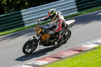 Middle Group Yellow Bikes